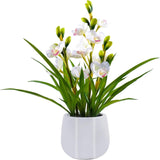 19 Inch Artificial Cymbidium Orchid Plant in Ceramic Pot