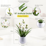 19 Inch Artificial Cymbidium Orchid Plant in Ceramic Pot
