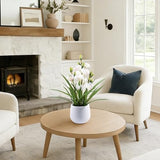 19 Inch Artificial Cymbidium Orchid Plant in Ceramic Pot